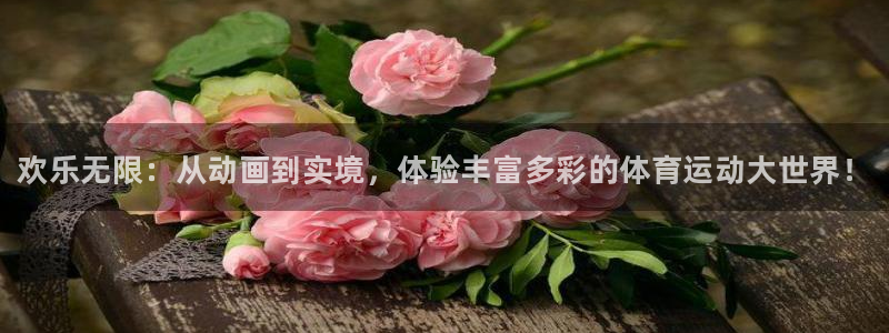 3377体育官网下载开户：欢乐无限：从动画到实境，体