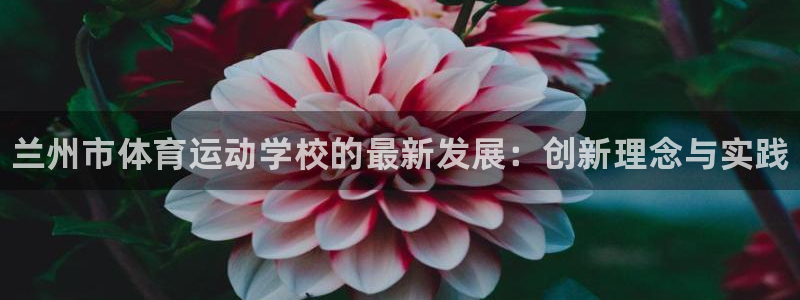 3377体育官网下载招商电话是多少啊：兰州市体育运动
