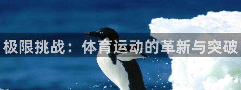 3377体育官方正版app集团logo：极限挑战：体育运动的