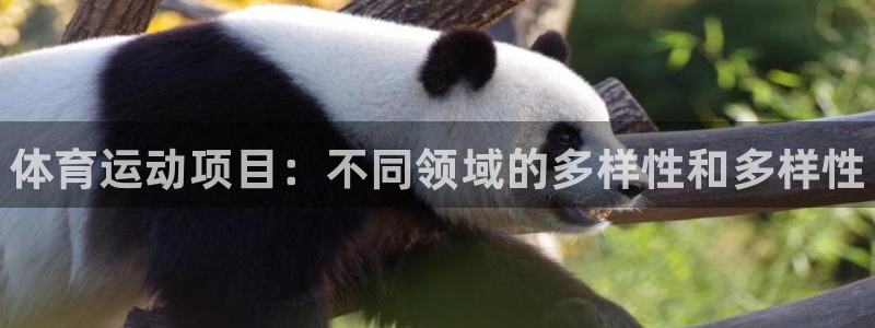 3377体育官方正版app娱乐下载：体育运动项目：不
