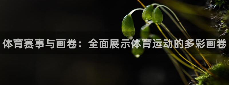 3377体育官网下载招商电话是多少：体育赛事与画卷：