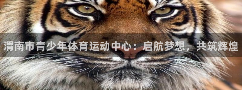 3377体育官网下载招商电话号码是多少：渭南市青少年