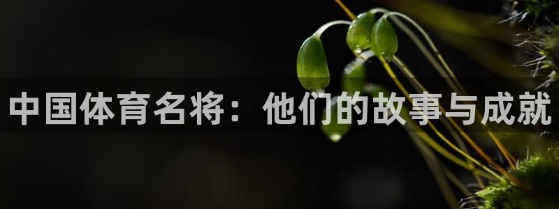 3377体育官网下载招商：中国体育名将：他们的故事与