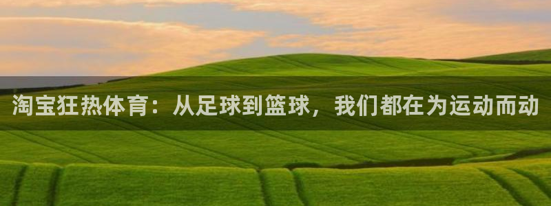 3377体育官网下载平台注册：淘宝狂热体育：从足球到