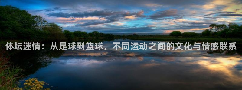 3377体育官方平台体育：体坛迷情：从足球到篮球，不同运动之