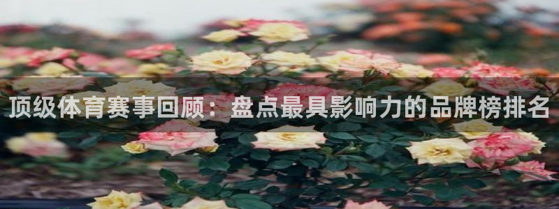 3377体育官网下载招商电话号码是多少号：顶级体育赛事回顾：