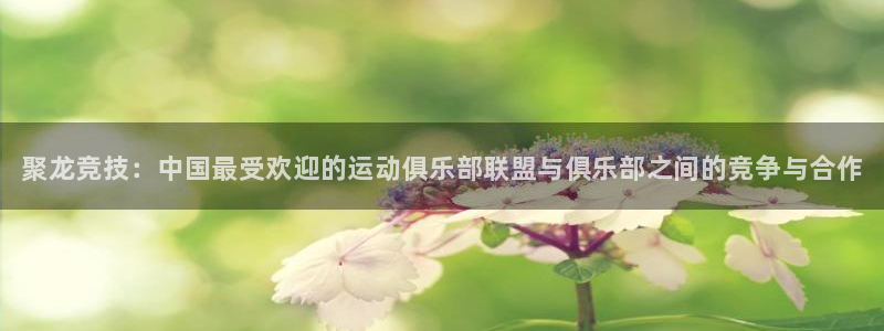 3377体育官网下载招商电话号码查询：聚龙竞技：中国