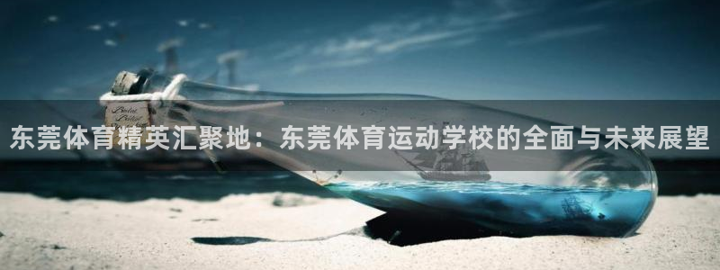 海南3377体育官网下载发展怎么样：东莞体育精英汇聚地：东莞