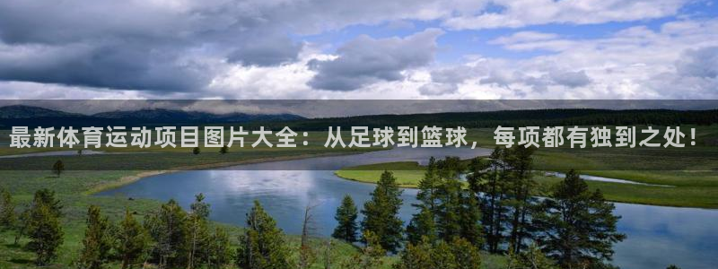 3377体育官网下载招商电话号码是多少号