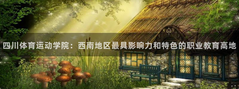 3377体育官方正版app娱乐是那个系列的台子：四川体育运动