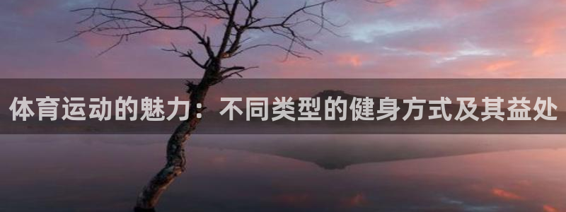 3377体育官网下载平台假的吗是真的吗：体育运动的魅
