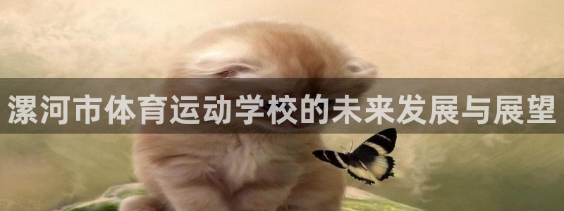 3377体育官网下载平台是正规平台吗知乎：漯河市体育运动学校
