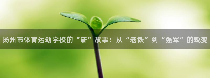 3377体育官方正版app集团官网网址：扬州市体育运动学校的