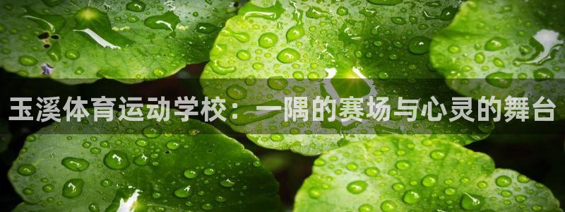 德国3377体育官方正版app集团：玉溪体育运动学校：一隅的