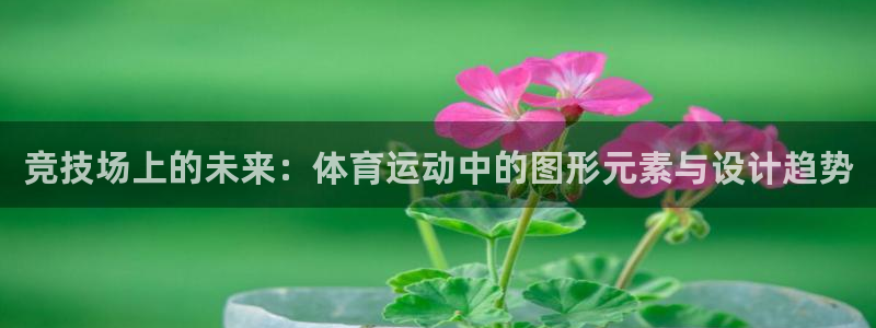 3377体育官方正版app娱乐首页网站大全：竞技场上的未来：