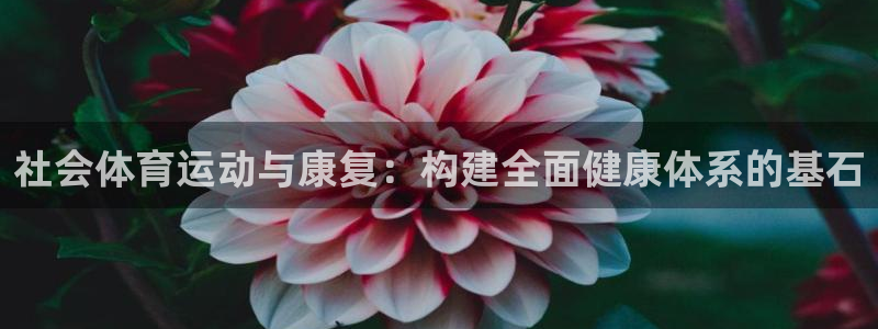3377体育官方正版app集团logo：社会体育运动