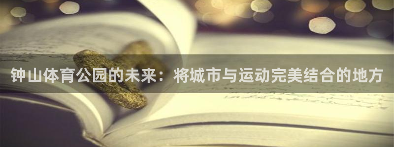 3377体育官方正版app集团logo：钟山体育公园的未来：