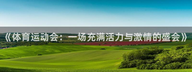 3377体育官网下载平台注册要钱吗：《体育运动会：一场充满活