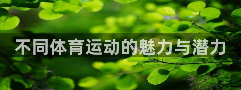 3377体育官网下载招商电话：不同体育运动的魅力与潜力