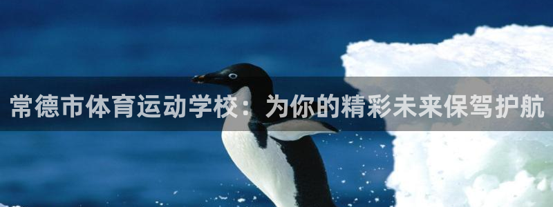 3377体育官方正版app官方