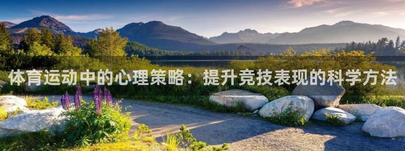 3377体育官方正版app娱乐下载