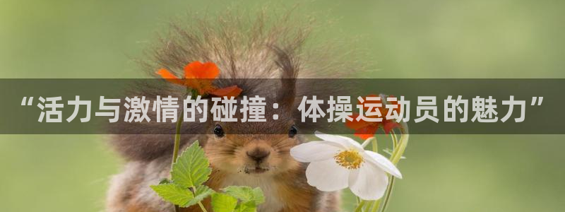 海南3377体育官网下载：“活力与激情的碰撞：体操运动员的魅