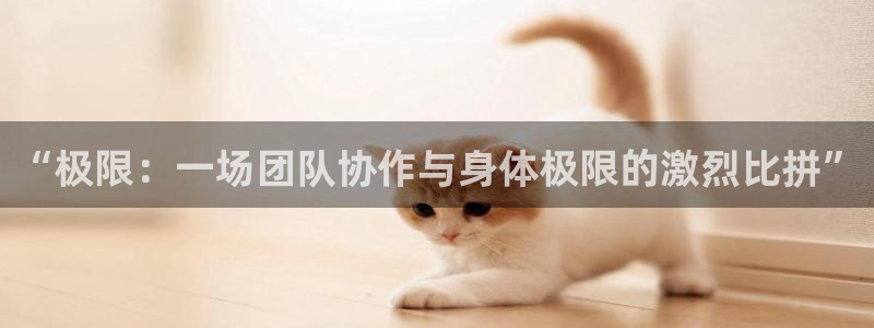 3377体育官网下载开户：“极限：一场团队协作与身体极限的激