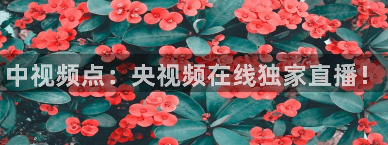 新闻图片