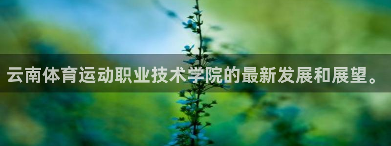  3377体育被国家取消了吗：云南体育运动职业技术学院的最新发