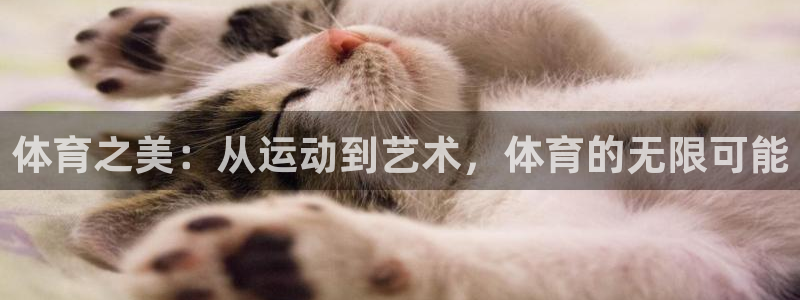 3377体育提款容易通过吗为什么：体育之美：从运动到艺术，体