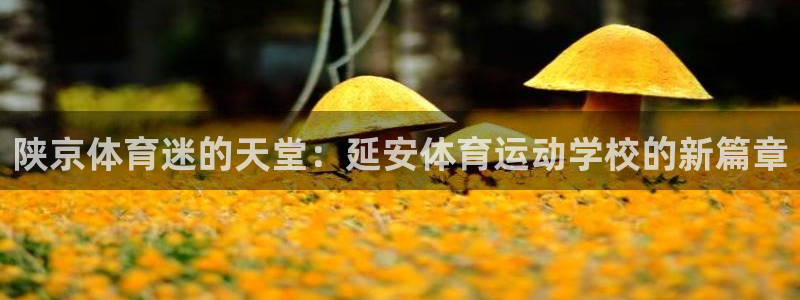 3377体育官网：陕京体育迷的天堂：延安体育运动学校的新篇章