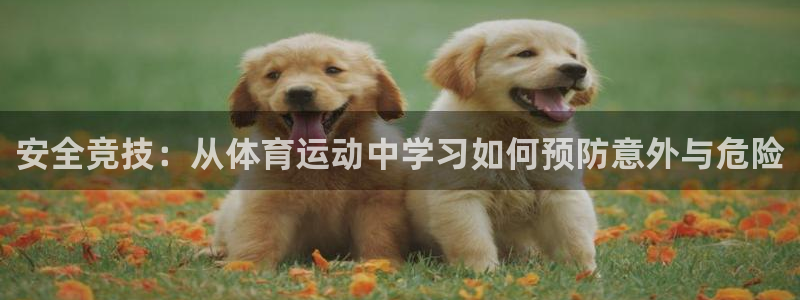 3377体育为什么提不出来：安全竞技：从体育运动中学习如何预