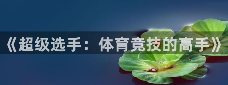 3377体育提款失败的原因分析：《超
