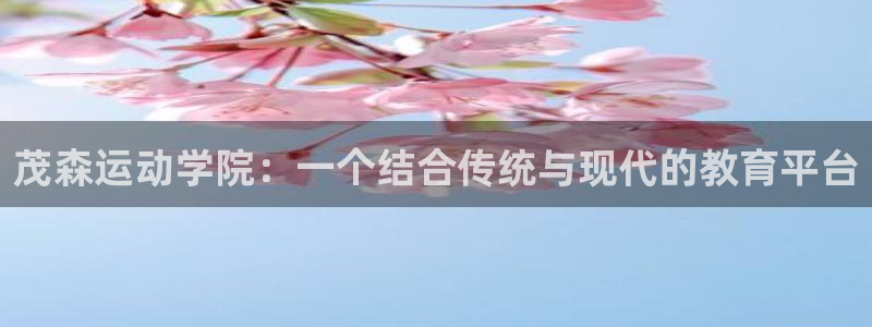 3377体育最害怕三个东西：茂森运动