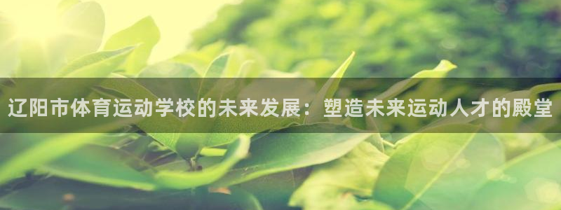  3377体育app官网下载最新版本2023年：辽阳市体育运动