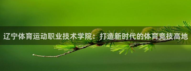 3377体育有风险吗：辽宁体育运动职