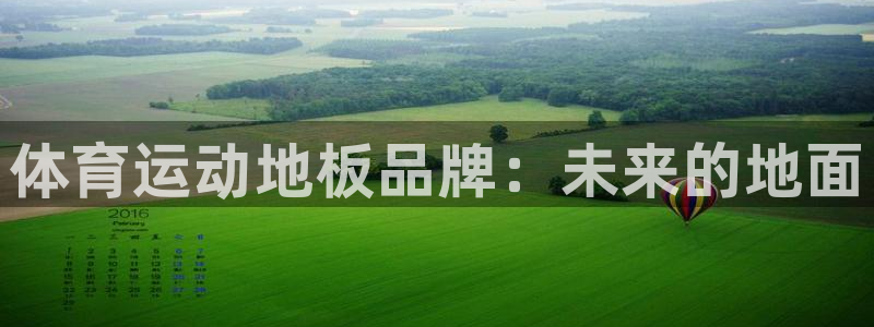 3377体育能爆吗：体育运动地板品牌