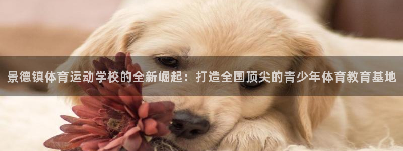 3377体育被国家取消了吗：景德镇体