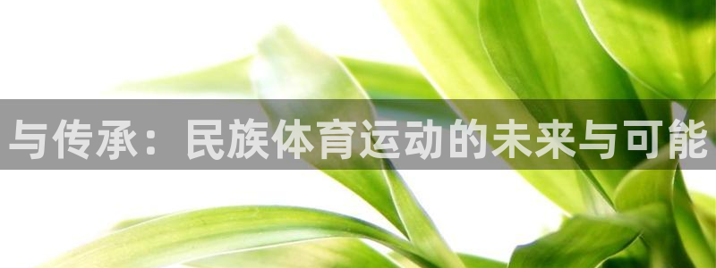  3377体育被国家取消了吗今天：与传承：民族体育运动的未来与