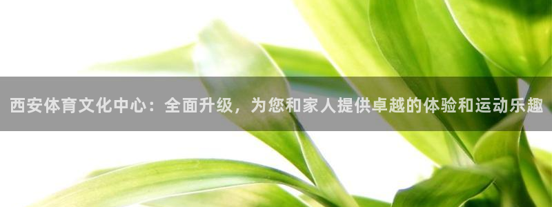 3377体育是正规平台吗